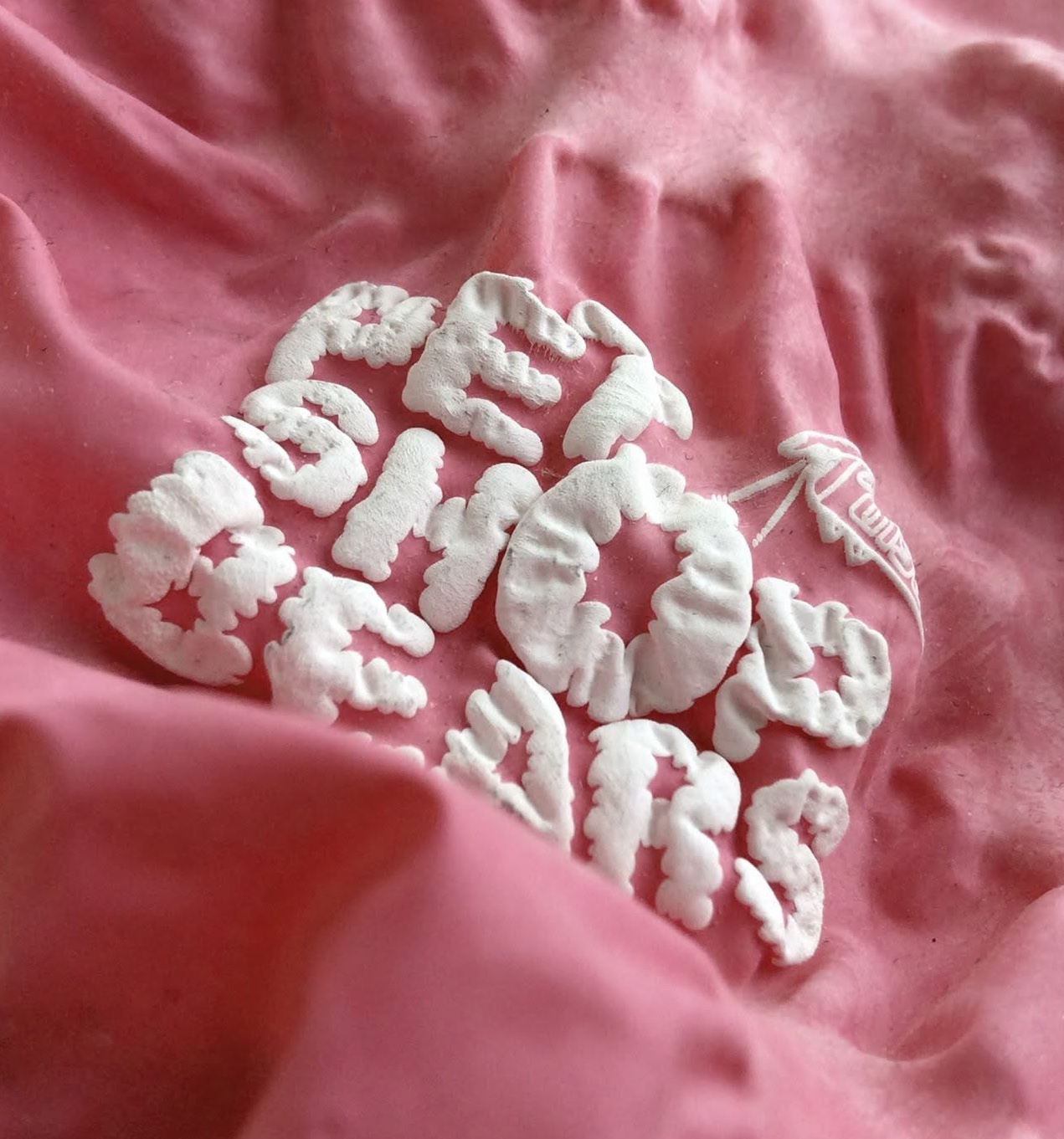 Pet Shop Bears Flyer